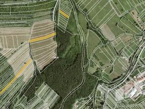 Prodej louky, Javorník, 21839 m2