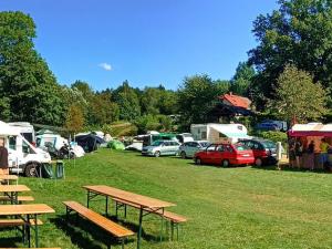 Prodej komerční, Ústí nad Orlicí - Oldřichovice, Staré Oldřichovice, 3706 m2
