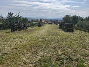 Prodej pozemku pro bydlení, Polešovice, 1000 m2