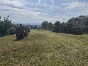 Prodej pozemku pro bydlení, Polešovice, 1000 m2