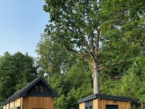 Prodej bytu 3+kk, Janov nad Nisou, 46 m2