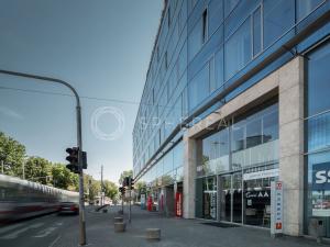 Pronájem kanceláře, Brno - Žabovřesky, Veveří, 1129 m2