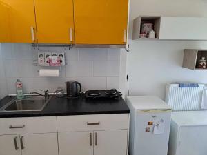 Pronájem bytu 1+1, Liberec, Vrchlického, 41 m2