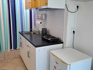 Pronájem bytu 1+1, Liberec, Vrchlického, 41 m2