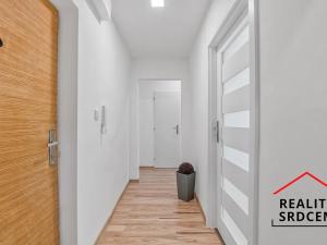Pronájem bytu 1+1, Karviná, Dělnická, 38 m2