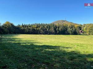 Prodej louky, Jiřetín pod Jedlovou - Rozhled, 15674 m2