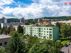 Prodej bytu 1+1, Ústí nad Labem - Neštěmice, Seifertova, 35 m2
