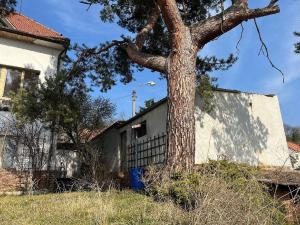 Prodej rodinného domu, Manětín, 250 m2