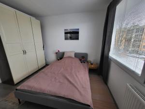 Pronájem bytu 3+1, Strakonice - Přední Ptákovice, Povážská, 74 m2