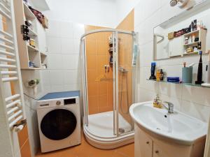 Pronájem bytu 2+1, České Budějovice - České Budějovice 3, Fr. Hrubína, 75 m2