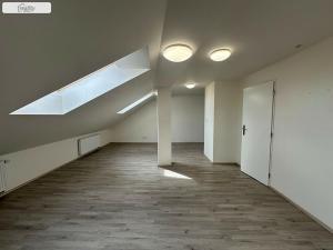 Pronájem bytu 1+kk, Brno - Husovice, Hálkova, 66 m2