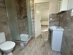 Pronájem bytu 1+kk, Brno - Husovice, Hálkova, 66 m2