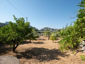 Prodej rodinného domu, Viddalba, Sardinie, Itálie, 170 m2