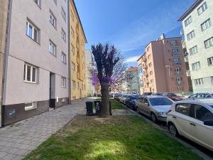 Pronájem bytu 1+kk, Olomouc - Hodolany, Zeyerova, 18 m2