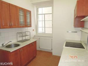 Pronájem bytu 1+1, Brno, Gorkého, 45 m2