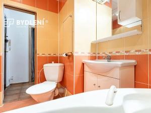 Prodej bytu 2+1, Ústí nad Labem, Větrná, 61 m2