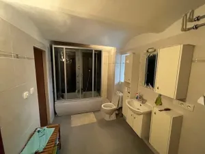 Dražba rodinného domu, Zalužany, 172 m2