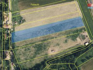 Prodej pozemku pro bydlení, Dětkovice, 3897 m2