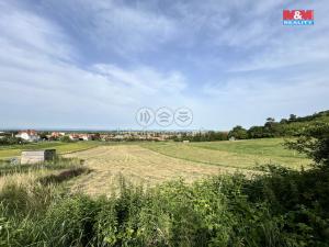 Prodej pozemku pro bydlení, Dětkovice, 3897 m2