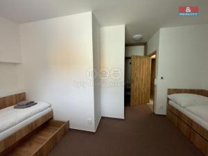 Pronájem bytu 1+kk, Ostrava - Vítkovice, Lidická, 30 m2