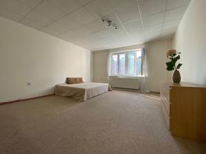 Pronájem bytu 1+1, Ostrava, Bachmačská, 61 m2
