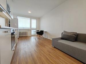 Pronájem bytu 2+kk, Most, Brněnská, 35 m2