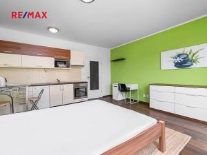 Pronájem bytu 1+kk, Plzeň, Veverkova, 29 m2