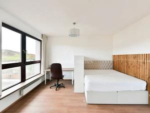 Pronájem bytu 1+kk, Beroun, Na Veselou, 38 m2