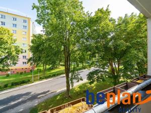 Prodej bytu 2+1, Nová Role, Školní, 58 m2