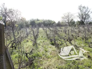 Prodej rodinného domu, Goritsa, Bulharsko, 80 m2