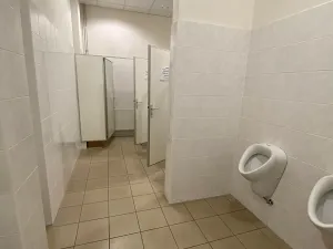 Pronájem kanceláře, Hodonín, Bratislavská, 490 m2