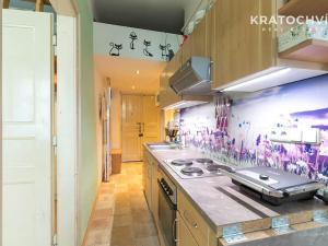 Pronájem bytu 2+kk, Praha - Žižkov, Rečkova, 48 m2