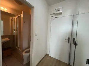 Pronájem bytu 1+kk, Praha, Hornoměcholupská, 26 m2