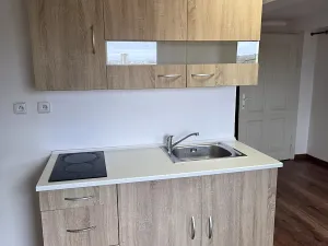 Pronájem bytu 1+1, Ostrava, Mariánskohorská, 31 m2