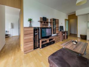 Pronájem bytu 2+kk, Praha - Žižkov, Pitterova, 88 m2