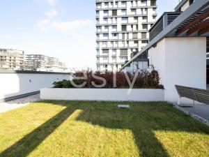 Pronájem bytu 1+kk, Praha - Žižkov, Olšanská, 35 m2