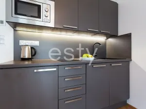 Pronájem bytu 1+kk, Praha - Žižkov, Olšanská, 35 m2