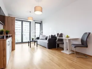Pronájem bytu 1+kk, Praha - Žižkov, Olšanská, 35 m2