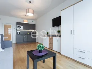 Pronájem bytu 1+kk, Praha - Žižkov, Olšanská, 35 m2