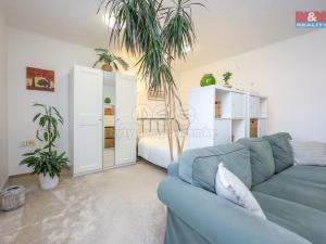 Pronájem bytu 4+1, Olomouc - Nová Ulice, Boženy Němcové, 100 m2
