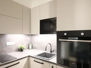 Pronájem bytu 1+kk, Brno, Koliště, 31 m2