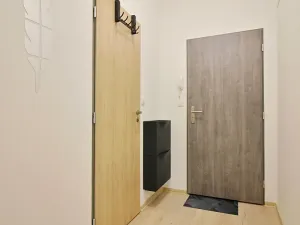 Pronájem bytu 1+kk, Brno, Koliště, 31 m2