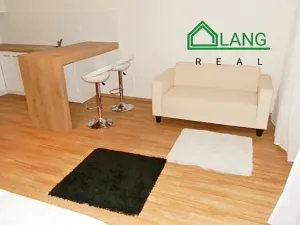 Pronájem bytu 1+kk, Brno, Běhounská, 31 m2