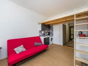 Pronájem bytu 1+kk, Praha - Vršovice, Holandská, 17 m2