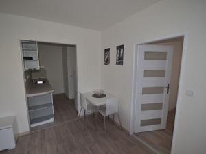 Pronájem bytu 2+kk, Praha - Žižkov, Luční, 45 m2
