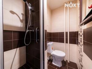 Prodej bytu 1+kk, Frýdek-Místek, 17. listopadu, 23 m2