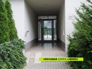 Pronájem bytu 3+kk, Liberec - Liberec VI-Rochlice, Hedvábná, 133 m2