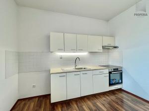 Pronájem bytu 1+kk, Brno, Charbulova, 43 m2