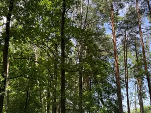 Prodej pozemku, Třeboň, 9529 m2