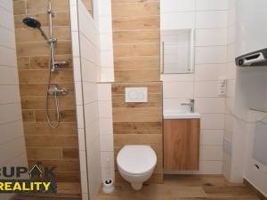 Pronájem bytu 5+kk, Solnice, 120 m2